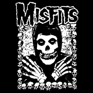 misfits skulls logo